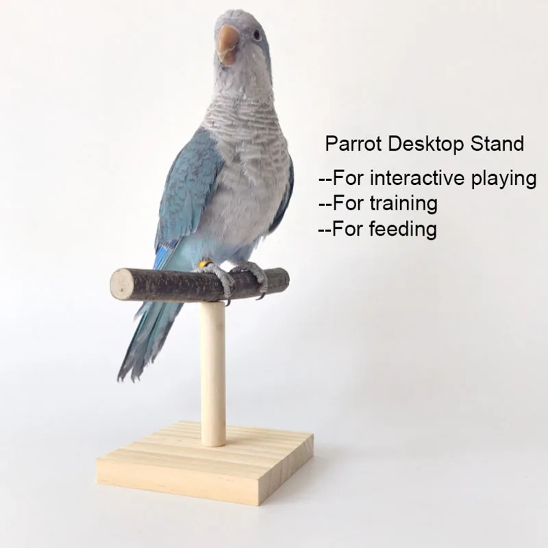 Desk Setup Wood - Supporto da tavolo naturale Pet Pappagallo