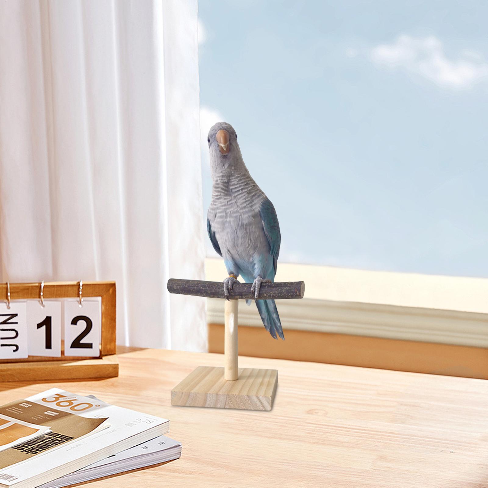 Supporto per Pappagalli in Leg - Desk Setup Wood recensione e prezzo