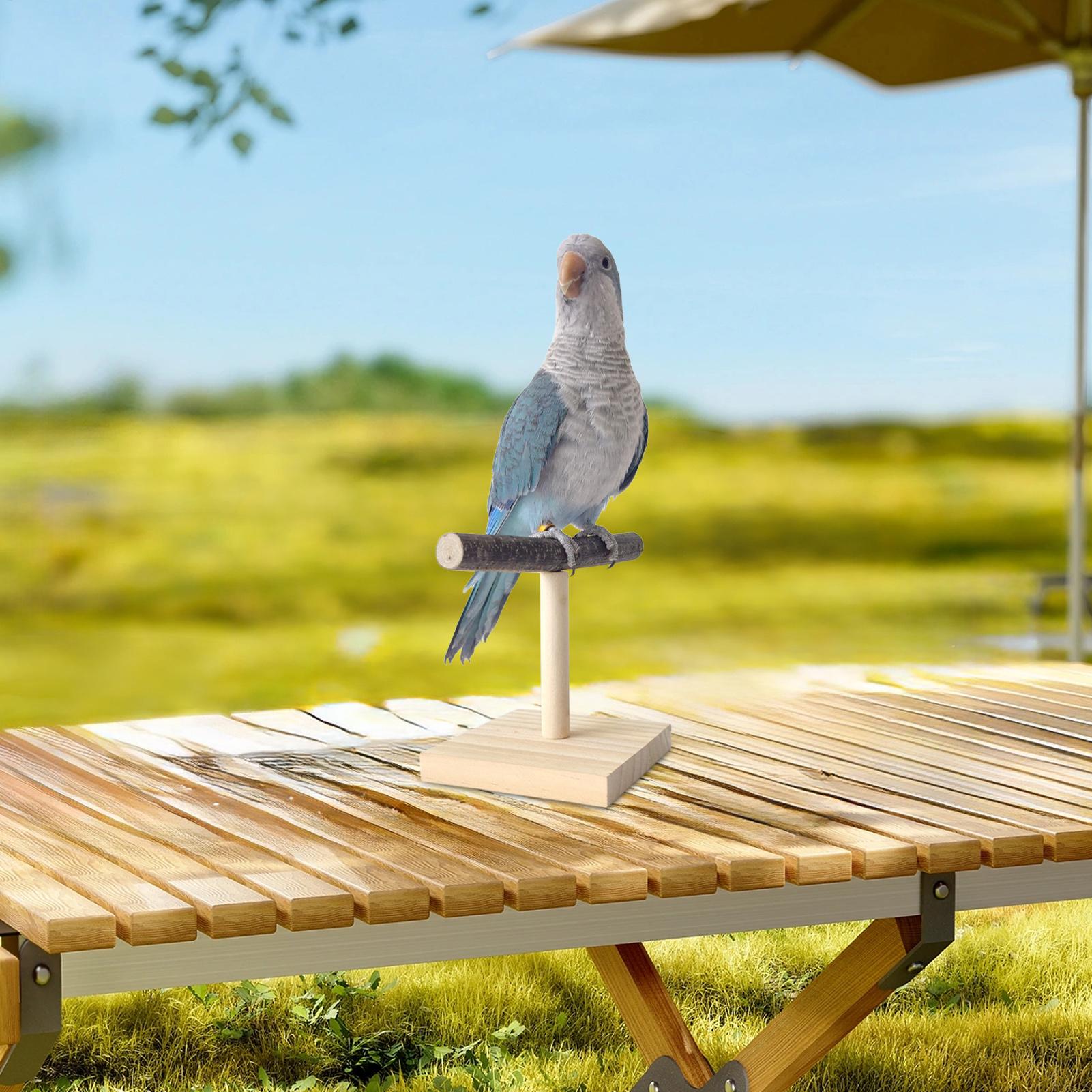 Supporto per Pappagalli in Leg - Desk Setup Wood recensione e prezzo